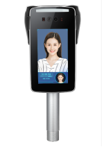 1762848619504.png image.png